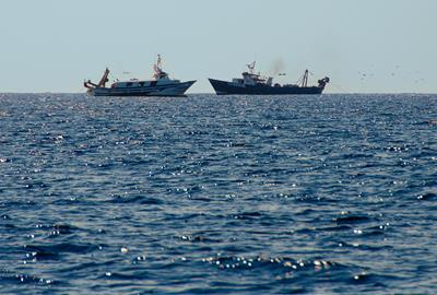 Barques d’arrossegament al litoral vilanoví. Amadeu Torné Güell